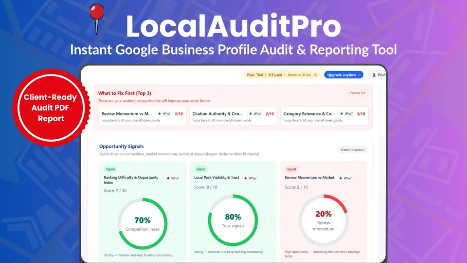 LocalAuditPro